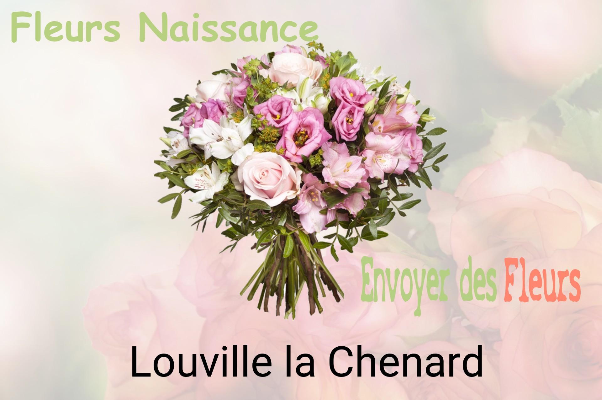 Bouquet de fleurs de naissance livré à Louville-la-Chenard