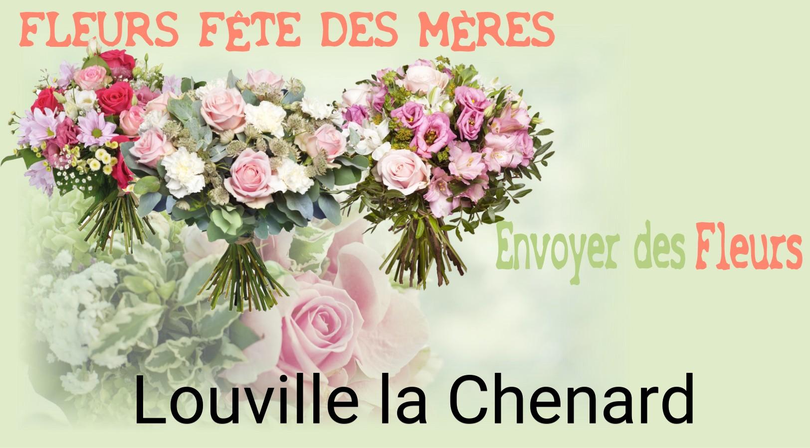 Bouquet de Fête des Mères livré à Louville-la-Chenard